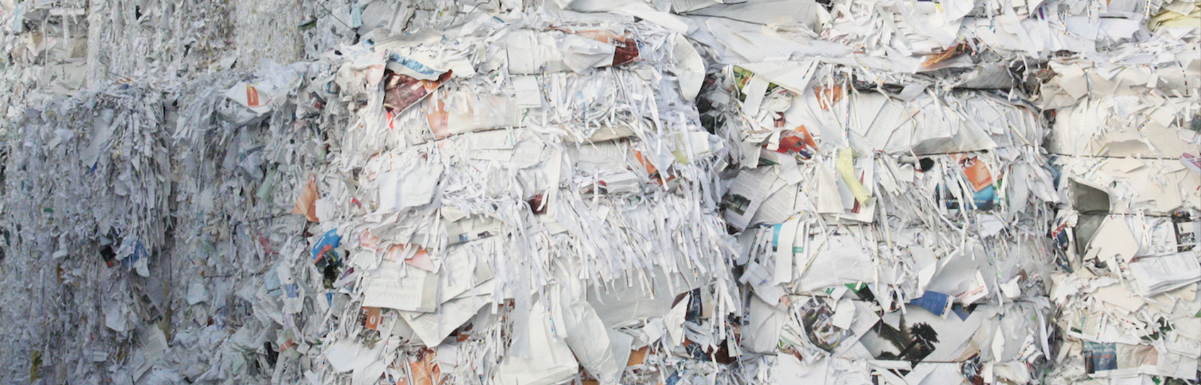 White-Paper
